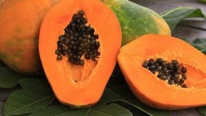 perkuat-imun-opini-dokter Artikel Kesehatan Lengkap & Akurat