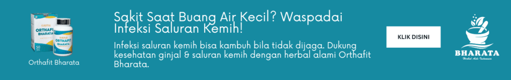 infeksi saluran kemih